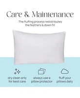 East Coast Bedding Elite European Down Dream King Pillow 800 Fill Power