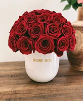 Rose Box Nyc Half Ball of Long Lasting Preserved Real Roses in Classic Ceramic Vase