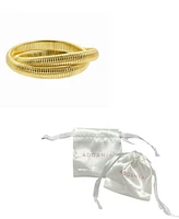 Adornia 14K Gold-Plated 2-Layer Omega Chain Bracelet