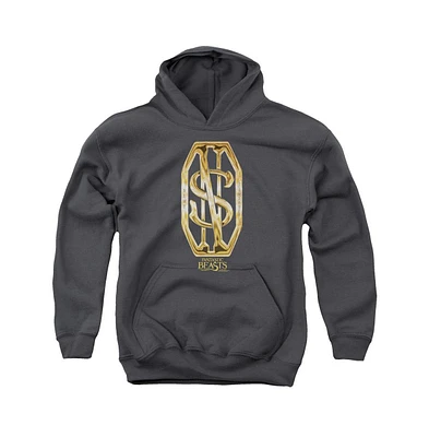 Fantastic Beasts Youth Scamander Monogram Pull Over Hoodie / Hooded Sweatshirt