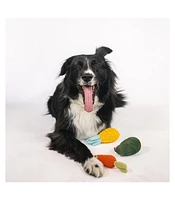 Nina Woof Dog Toy Veggie Bundle