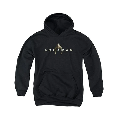 Aquaman Movie Boys Youth Logo Pull Over Hoodie / Hooded Sweatshirt