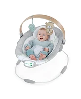 Cozy Spot Soothing Bouncer