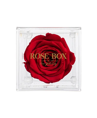 Rose Box Nyc Jewelry box of Red Wine Long Lasting Preserved Real Rose, 1 Rose