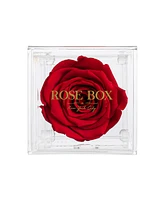 Rose Box Nyc Jewelry box of Red Wine Long Lasting Preserved Real Rose, 1 Rose