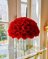 Rose Box Nyc Half Ball of Red Flame Long Lasting Preserved Real Roses in Modern Premium Vase, 55 Roses