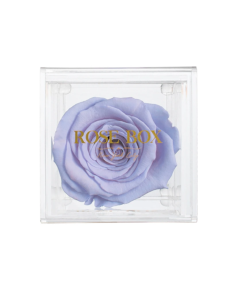 Rose Box Nyc Jewelry box of Violet Long Lasting Preserved Real Rose, 1 Rose