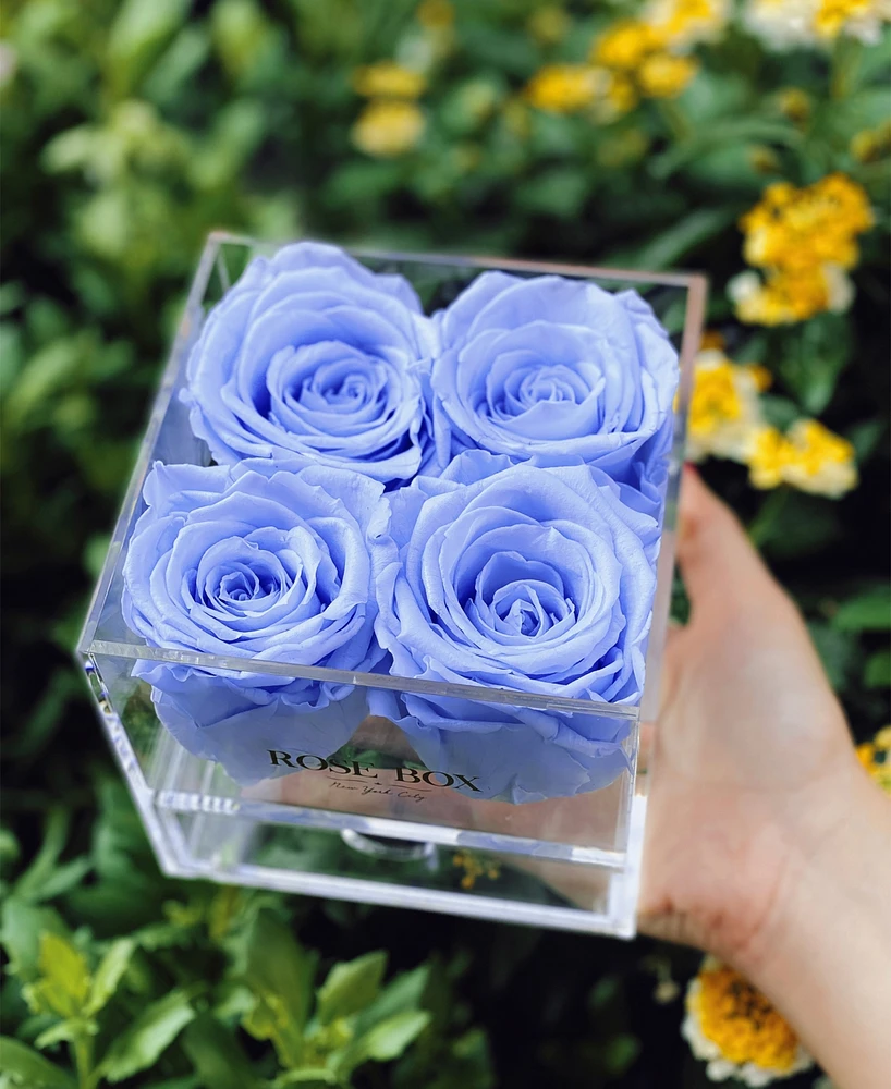 Rose Box Nyc Jewelry box of Violet Long Lasting Preserved Real Roses, 4 Rose