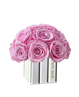 Rose Box Nyc Half Ball of Pink Blush Long Lasting Preserved Real Roses in Mini Modern Vase, 25