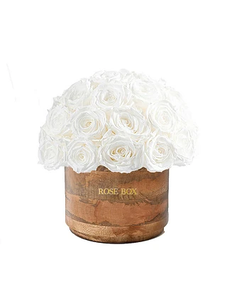 Rose Box Nyc Half Ball of Pure White Long Lasting Preserved Real Roses Classic Rustic Vase, 35 Roses