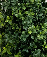 Nearly Natural 2.5ft. Uv Resistant Artificial Boxwood Plant with Integrated Ground Stake Indoor/Outdoor - Set of 2