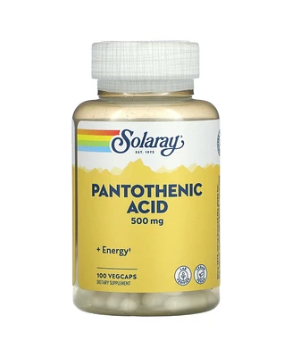 Solaray Pantothenic Acid 500 mg - 100 VegCaps