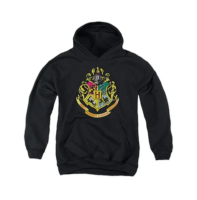 Harry Potter Boys Youth Hogwarts Crest Pull Over Hoodie / Hooded Sweatshirt