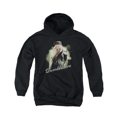 Harry Potter Boys Youth Dumbledore Wand Pull Over Hoodie / Hooded Sweatshirt