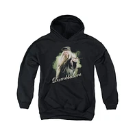 Harry Potter Boys Youth Dumbledore Wand Pull Over Hoodie / Hooded Sweatshirt