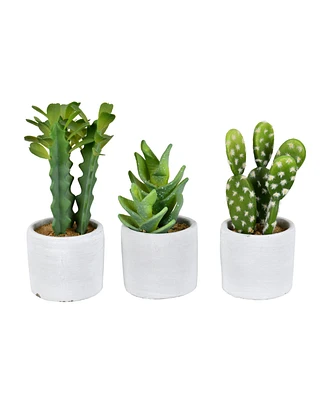 Vickerman Set of 3 Assorted 7" Potted Artificial Cactus Plants, Set of 3