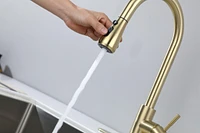Streamdale Furniture Kitchen Faucet With Pull Out Sprayer