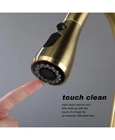 Streamdale Furniture Kitchen Faucet With Pull Out Sprayer