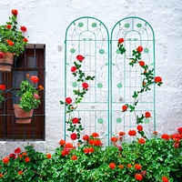 Metal Garden Trellis for Climbing Plants-Flower Support