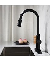 Streamdale Furniture Kitchen Faucet With Pull Out Sprayer