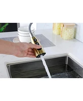 Gold Kitchen Faucets With Pull Down Sprayer, Kitchen Sink Faucet With Pull Out Sprayer