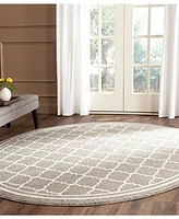 Safavieh Amherst AMT422 Dark Gray and Beige 9' x 9' Round Area Rug