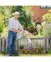 Slickblue 47.5 x 21.5 x 24 Inch Mini Greenhouse with Roll-up Zipper Door