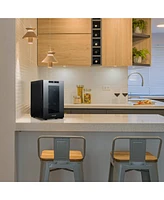 Newair Shadow-t Series Wine Cooler Refrigerator, Bottle Countertop Mirrored Compact Wine Cellar with Triple-Layer Tempered Glass Door