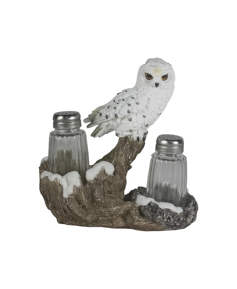 Fc Design 6.75"W Snow Owl Salt & Pepper Shaker Holder Home Decor Perfect Gift for House Warming, Holidays and Birthdays