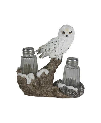 Fc Design 6.75"W Snow Owl Salt & Pepper Shaker Holder Home Decor Perfect Gift for House Warming, Holidays and Birthdays