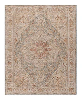 Surya Naila Ial-2317 6'7x9'6 Area Rug