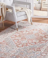 Safavieh Blair Washable 206 BLR206 8'x10' Area Rug