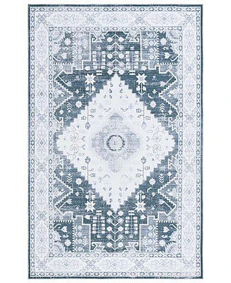 Safavieh Arizona Washable 107 ARZ107 4'x6' Area Rug