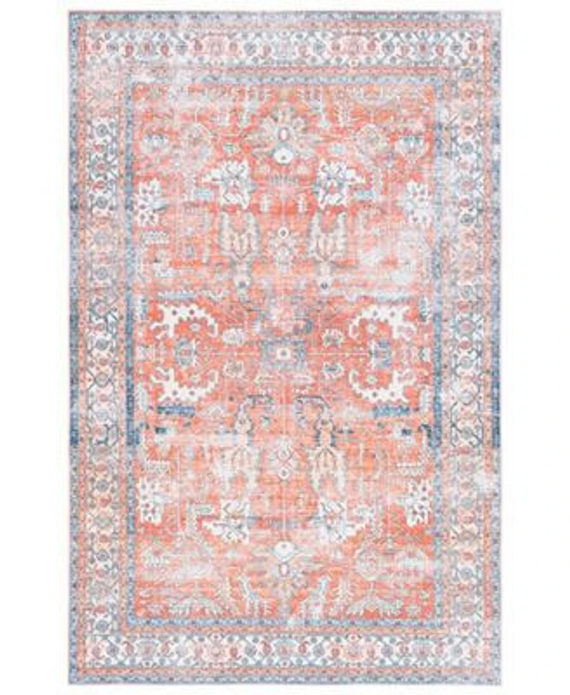 Arizona Washable Arz119 Rug Collection