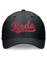 Nike Men's Cincinnati Reds Evergreen Performance Flex Hat