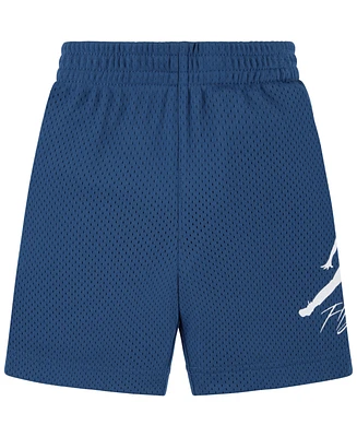 Jordan Little Boys Dri-fit Baseline Shorts