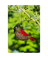 Evergreen Garden Cardinal Mesh Bird Feeder