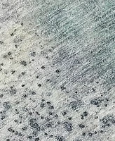 Addison Chantille Machine Washable ACN505 3'x5' Area Rug