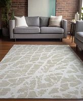 Addison Chantille Machine Washable ACN501 2'6x3'10 Area Rug