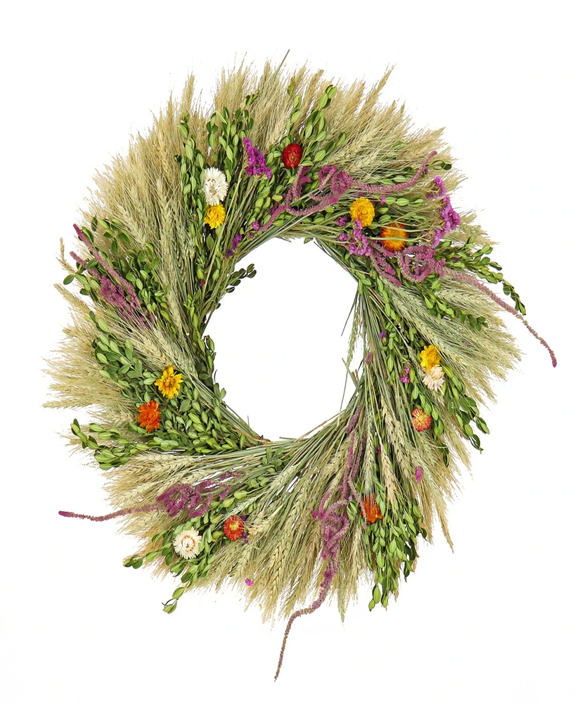 National Tree Company 22 Wheat and Straw Flowers Spring Wreath