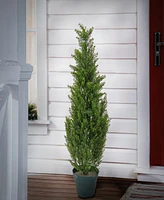 National Tree Company Cedar Tree in Dark Green Round Growers Pot