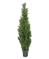 National Tree Company 50 Cedar Tree in Dark Green Round Growers Pot