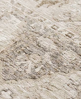 Dalyn Cyprus CY3 2'3x7'10 Runner Area Rug