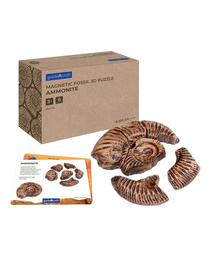Kaplan Early Learning Magnetic Fossil 3D Puzzle - Ammonite - 6 Pieces