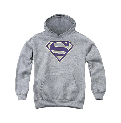 Superman Boys Youth Navy & Gold Shield Pull Over Hoodie / Hooded Sweatshirt