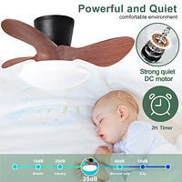 24" Walnut Ceiling Fan with Lights, Remote & Led
