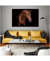 Simplie Fun Pensive Mare Acrylic Wall Art (32 H X 48 W)