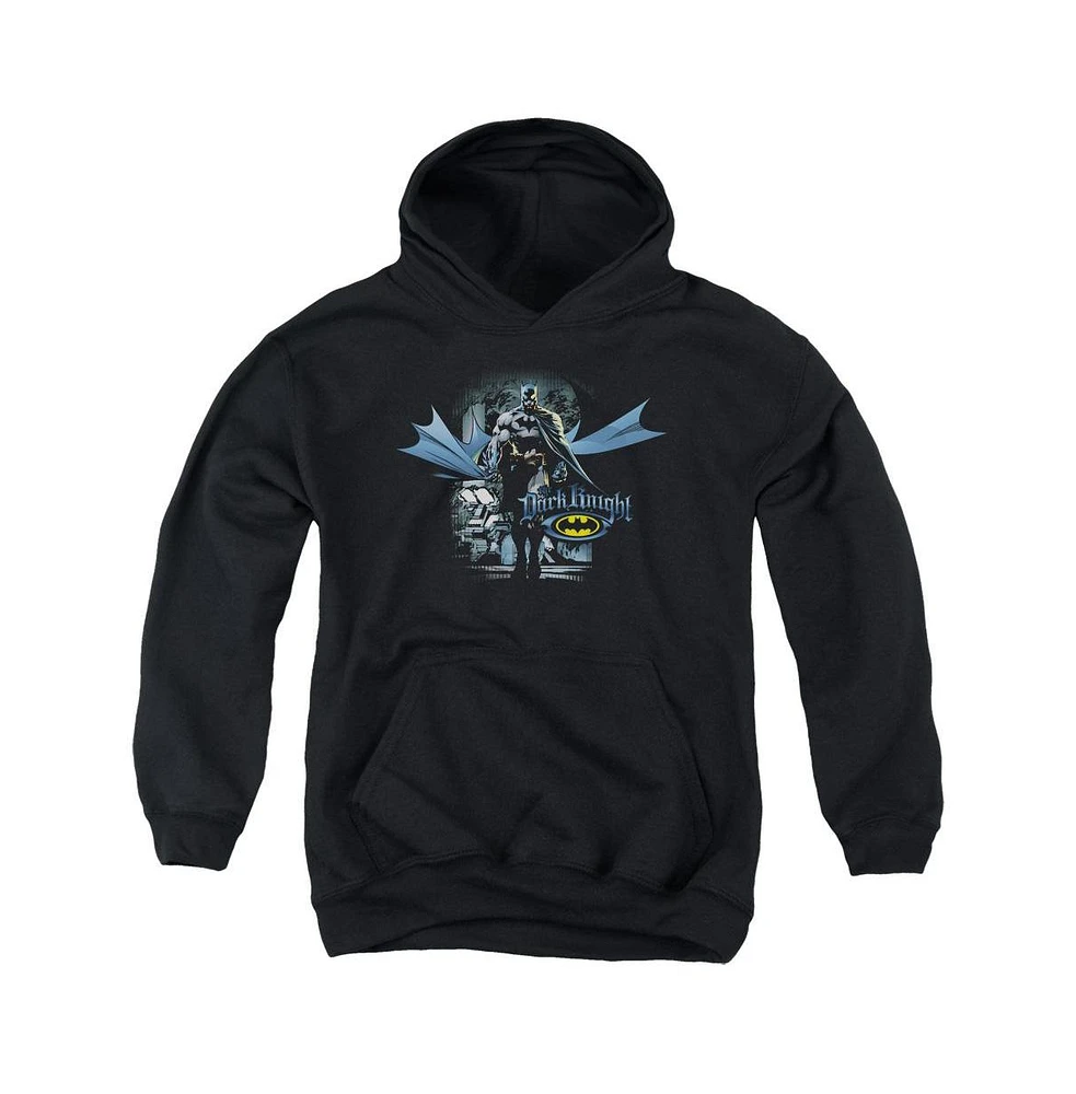 Batman Boys Youth From The Depths Pull Over Hoodie / Hooded Sweatshirt