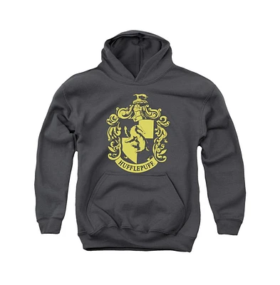 Harry Potter Boys Youth Hufflepuff Crest Pull Over Hoodie / Hooded Sweatshirt