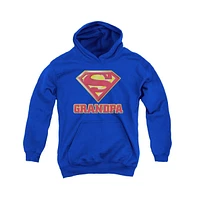 Superman Boys Youth Super Grandpa Pull Over Hoodie / Hooded Sweatshirt